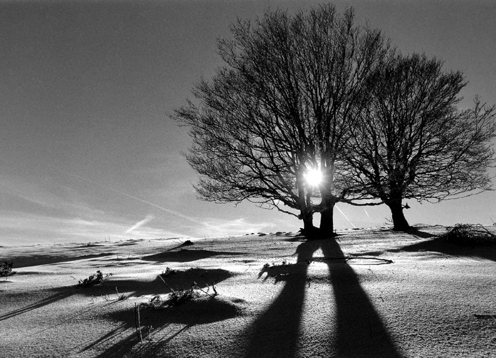 Souvenir d’hier, Lumière d’aujourd’hui… Lozère