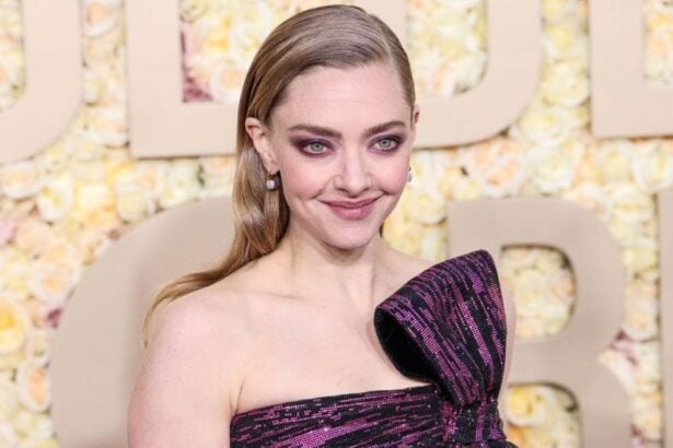 Amanda Seyfried rejoint Sharon Stone et Ramy Youssef dans Martha & Muhammad