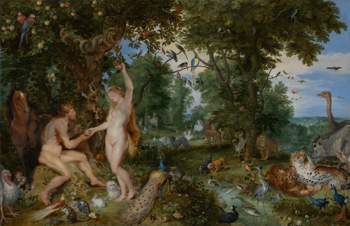 Mauritshuis de La Haye : 25 chefs-d’œuvre exposés au musée Thyssen-Bornemisza à Madrid