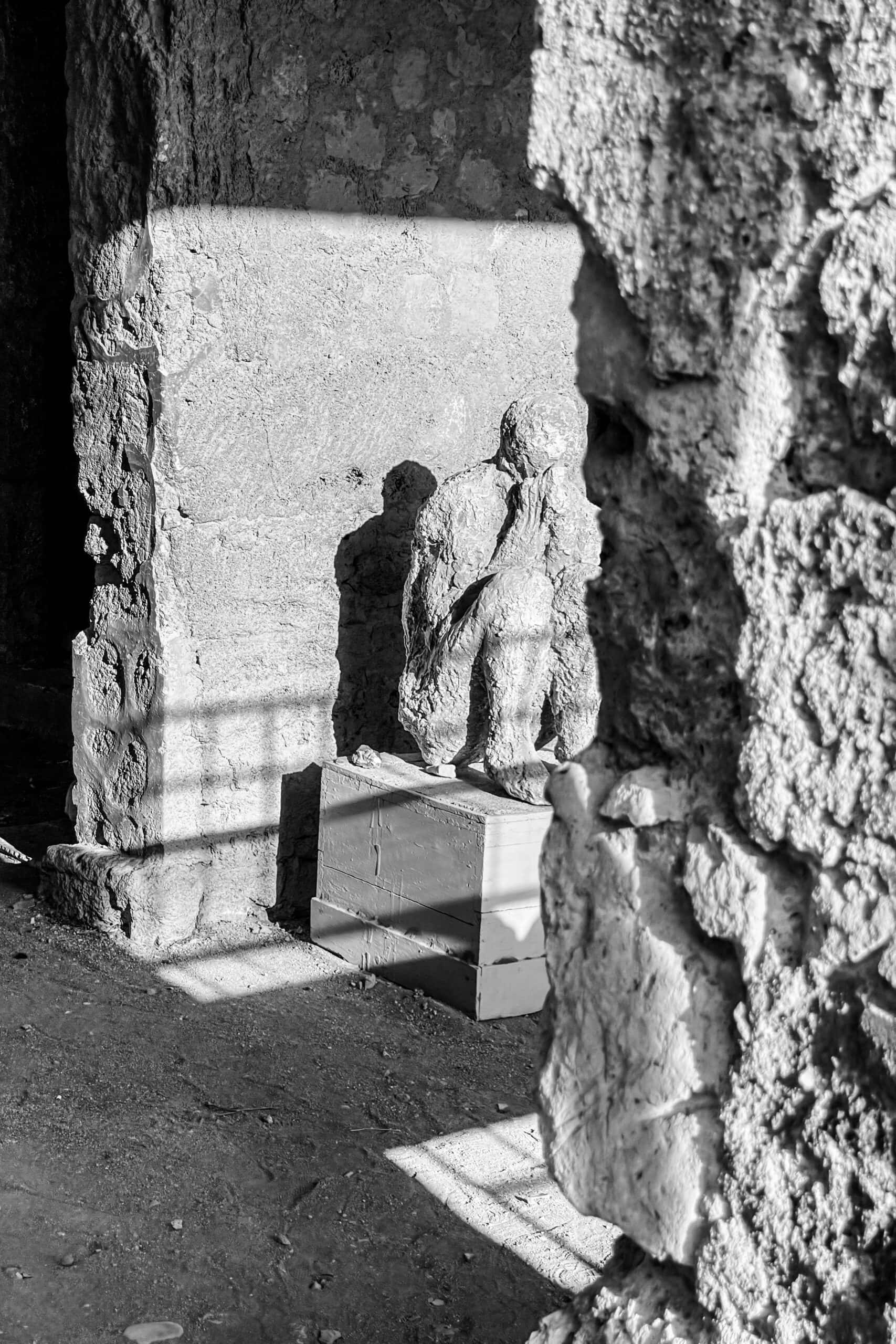 Élodie Palfer-Sollier Mur-mur