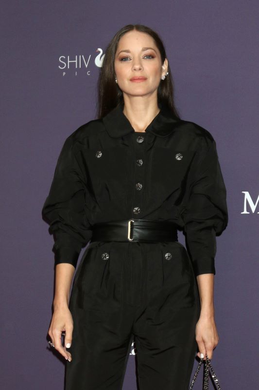 "Karma" : que raconte le nouveau film de Guillaume Canet avec Marion Cotillard ?