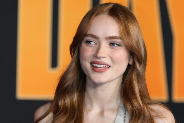 Sadie Sink : quelle carrière après « Stranger Things » ?